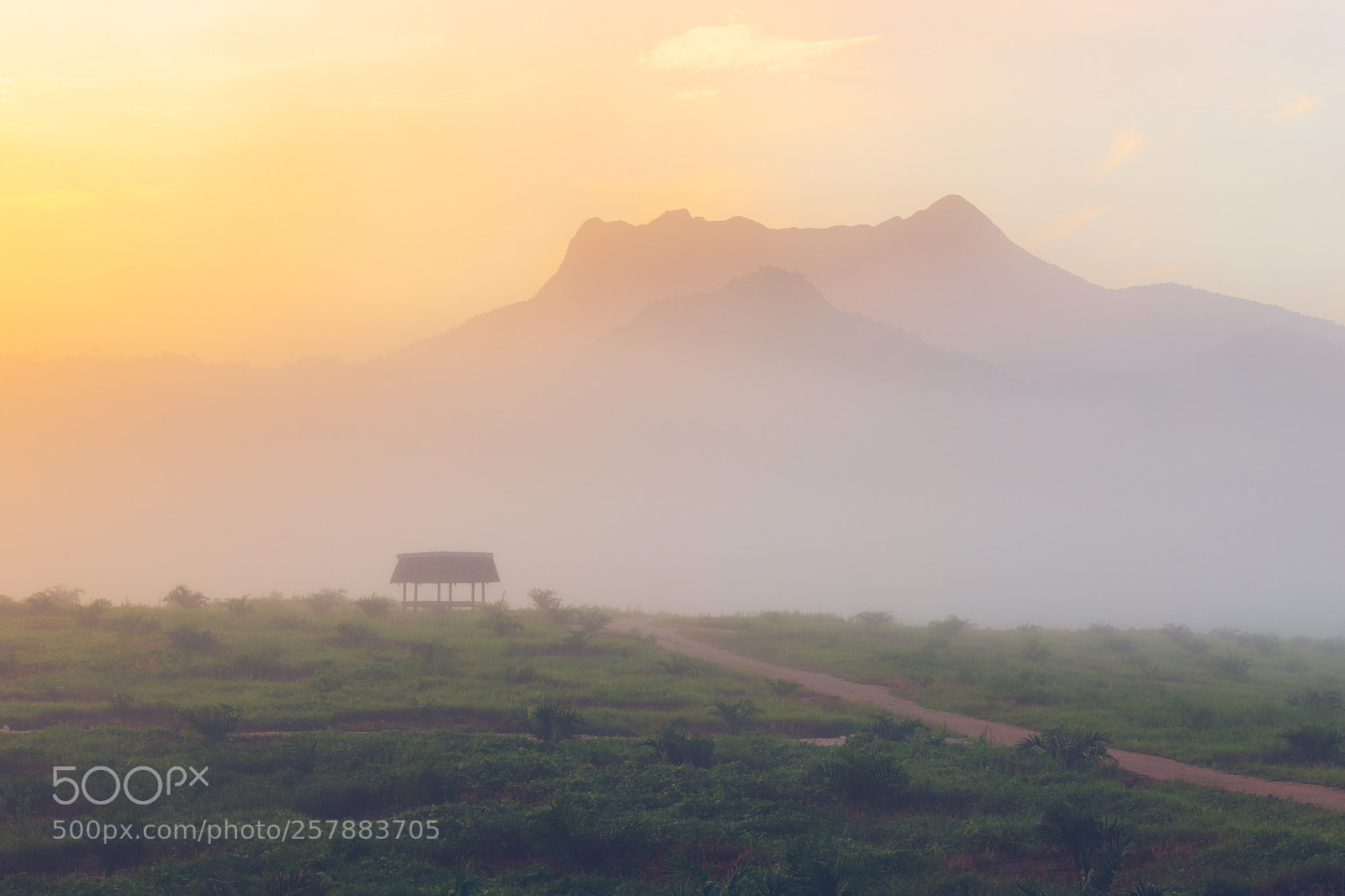 Canon EOS 6D Mark II sample photo. Little house early morning photography