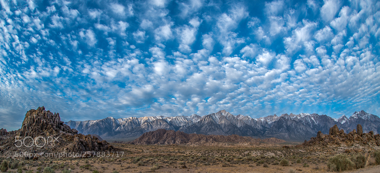 Nikon D810 sample photo. Eastern sierra morning photography