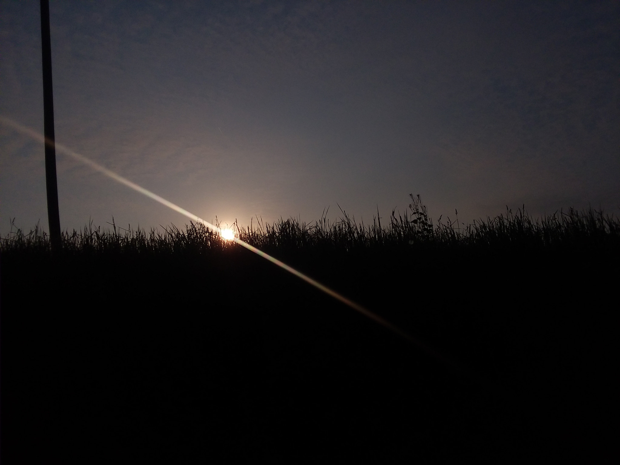 Samsung Galaxy J7 Pop sample photo. Sun poking thru tall grass on my ride to school this morning photography