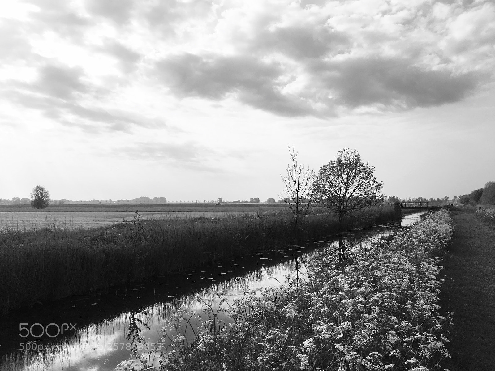 Apple iPhone 6s sample photo. Saturday morning flatland photography