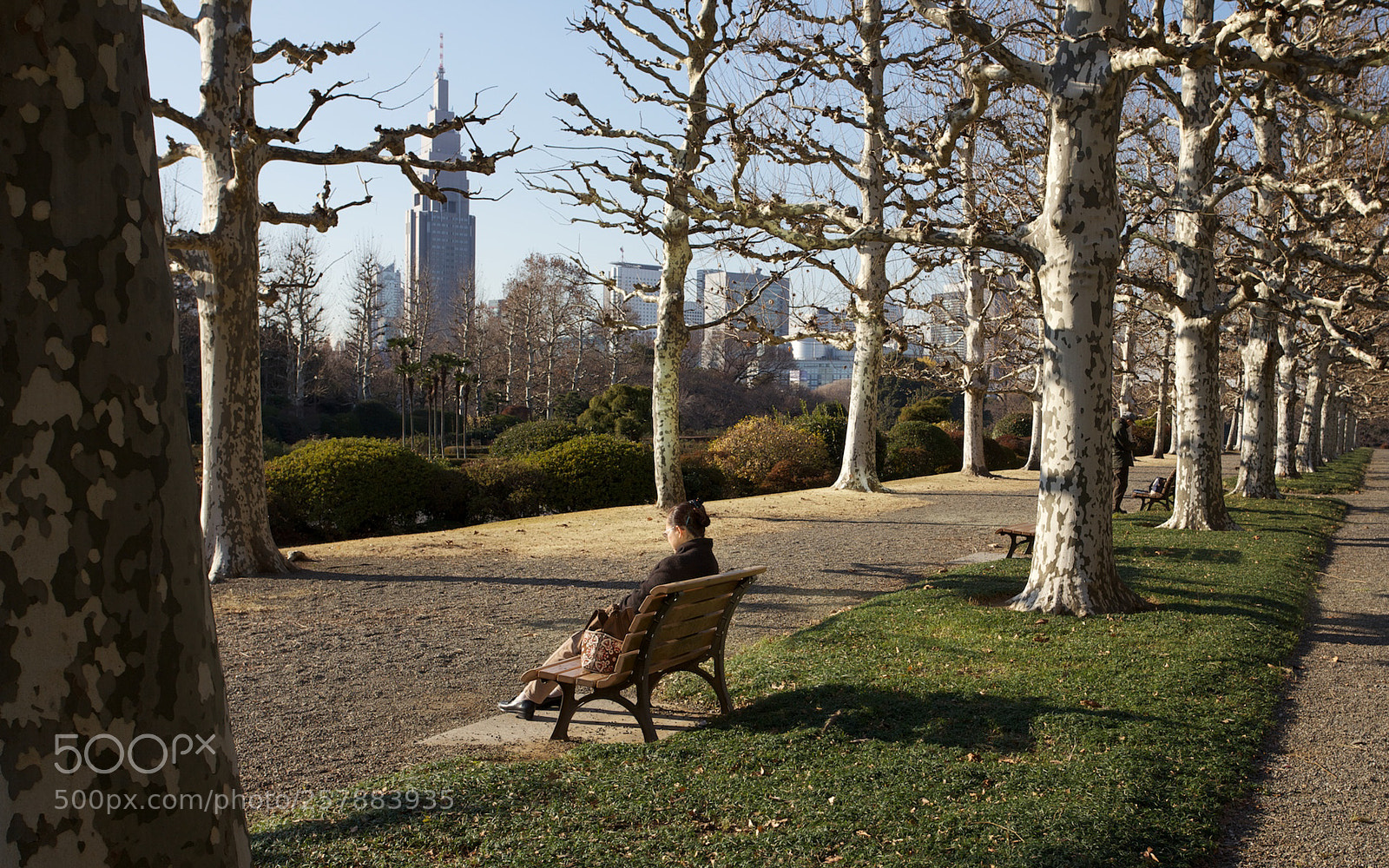Canon EOS 5D Mark II sample photo. Shinjuku gyoen photography