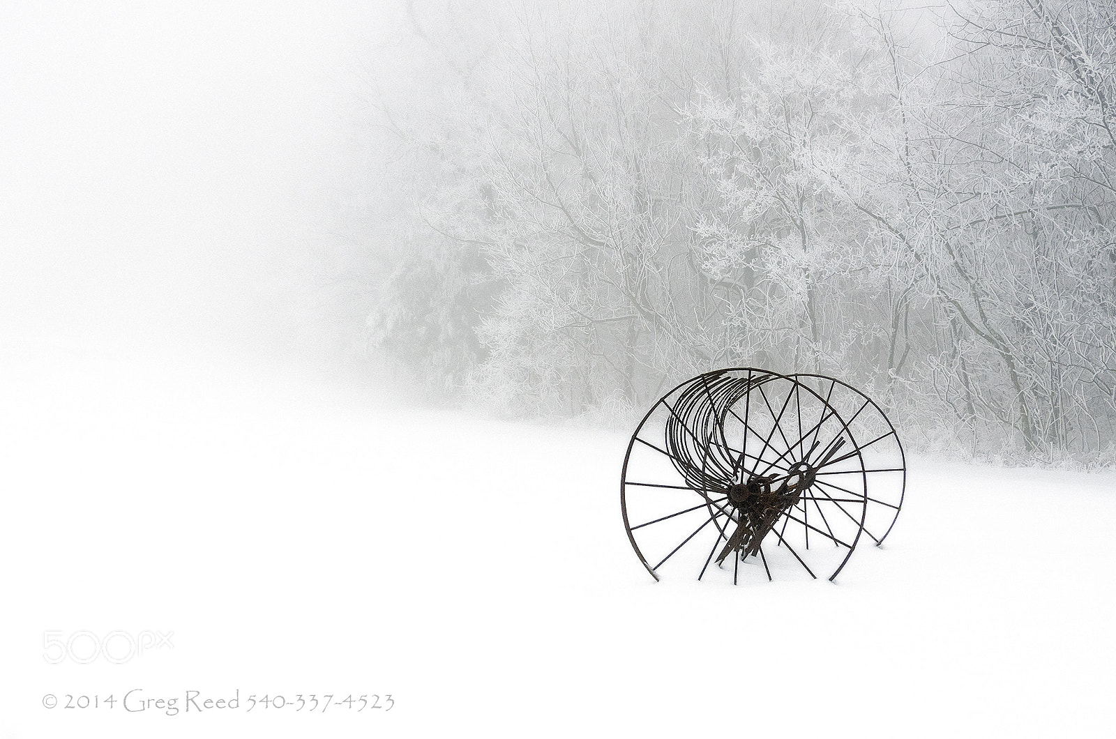 Nikon D7000 sample photo. Out of the mist photography