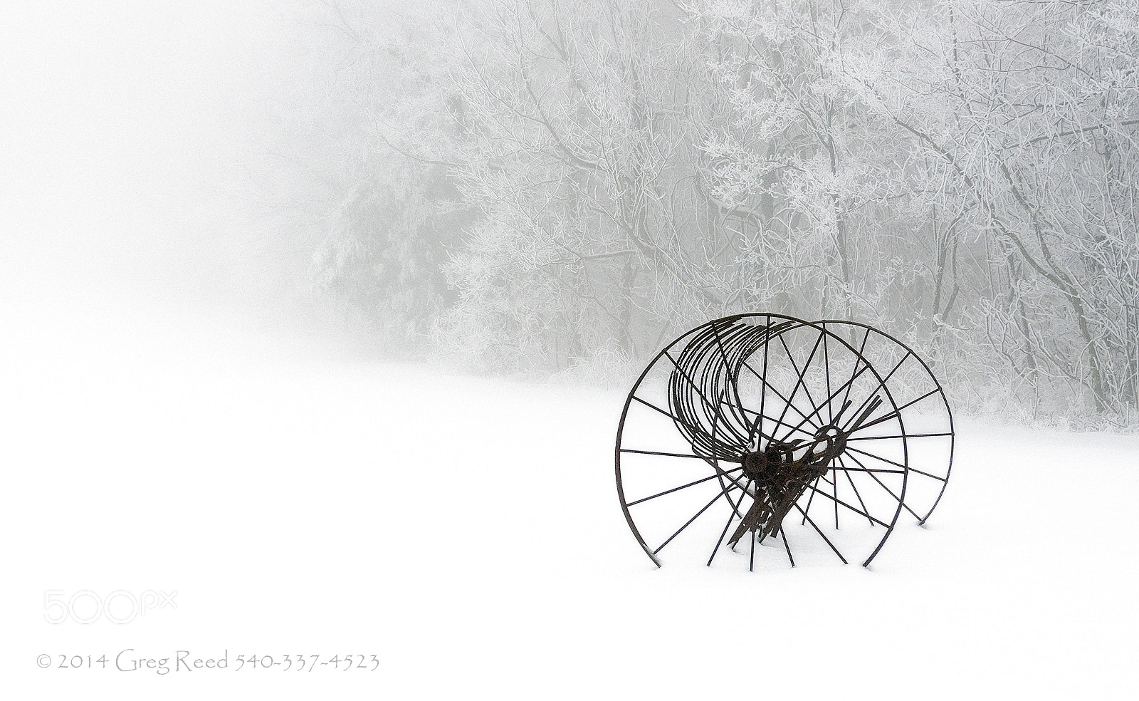 Nikon D7000 sample photo. Out of the mist photography