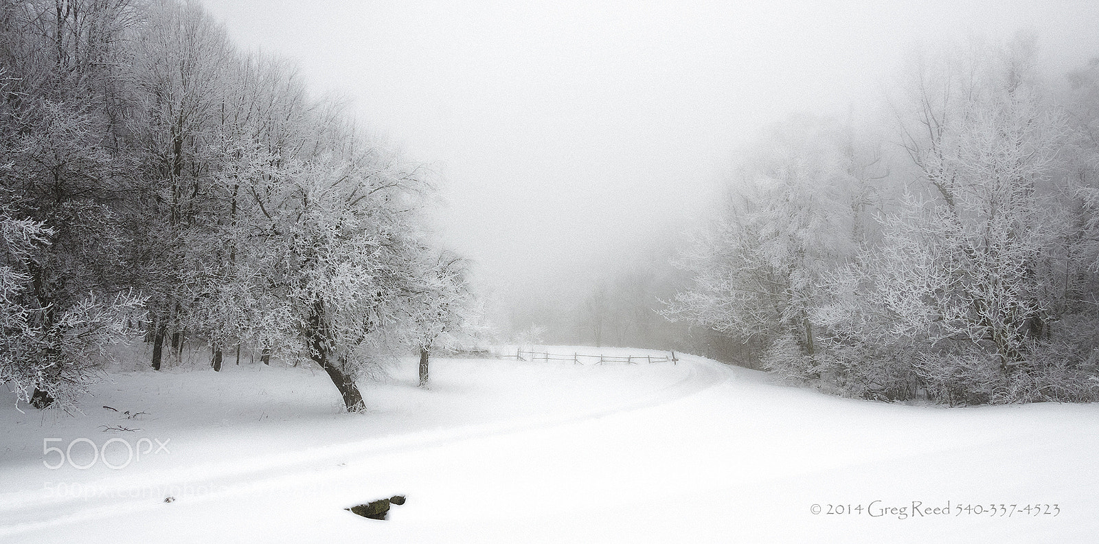 Nikon D7000 sample photo. Snow bound diffused glow photography