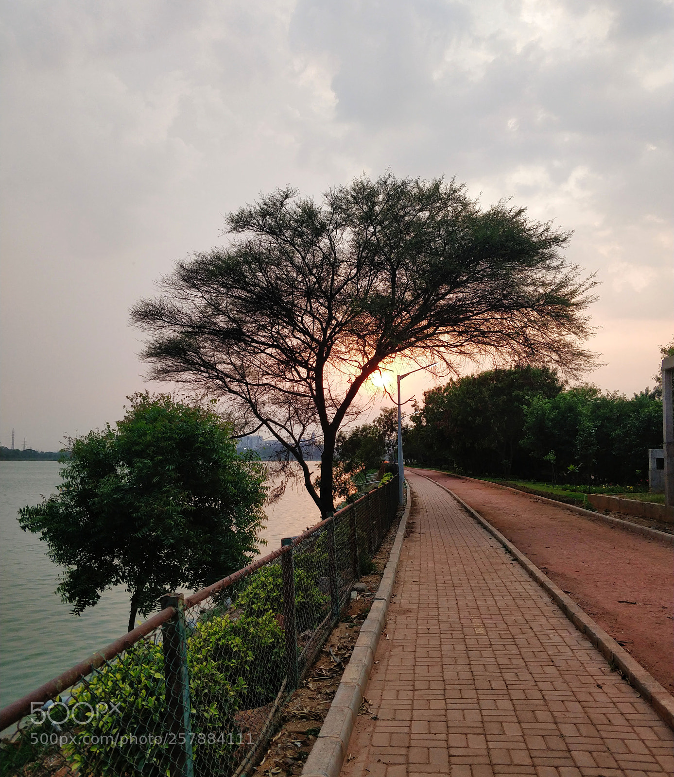 OnePlus 5T sample photo. Untitled photography