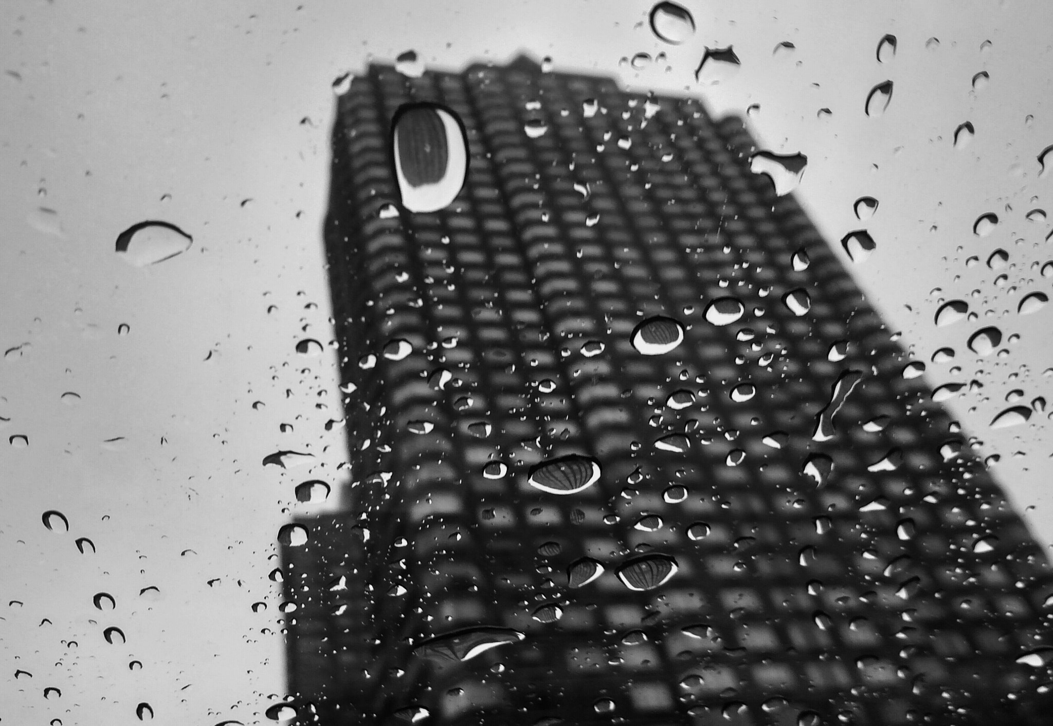 Motorola XT1225 sample photo. On a rainy day ..... photography