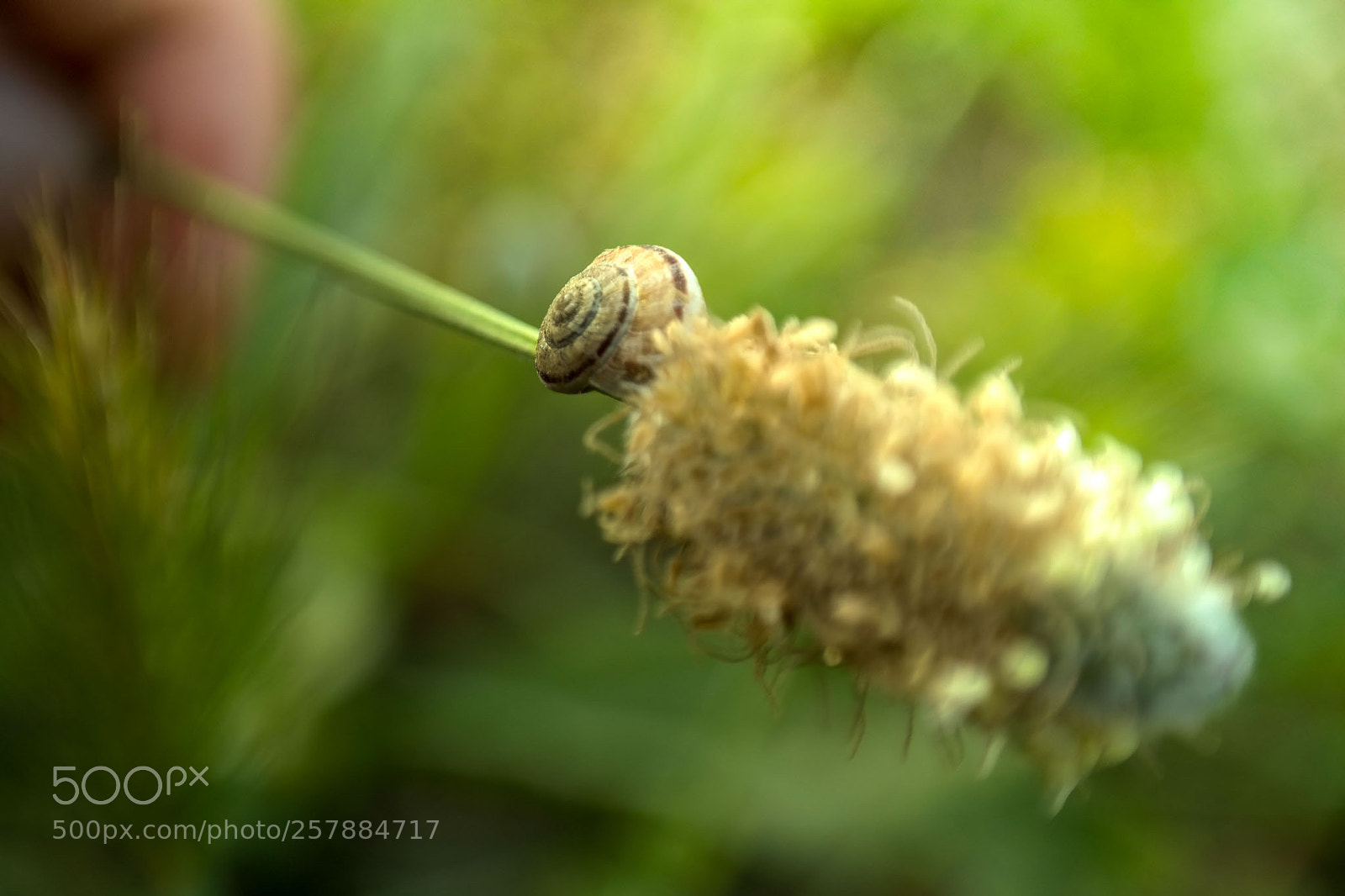 Samsung NX300 sample photo. Untitled photography