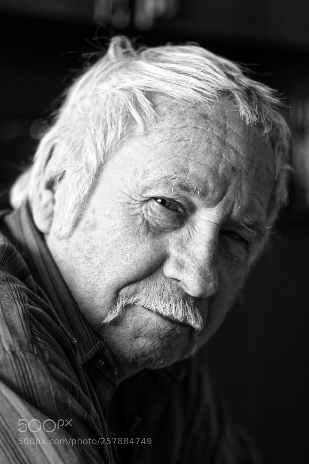 Canon EOS 40D sample photo. Dady photography
