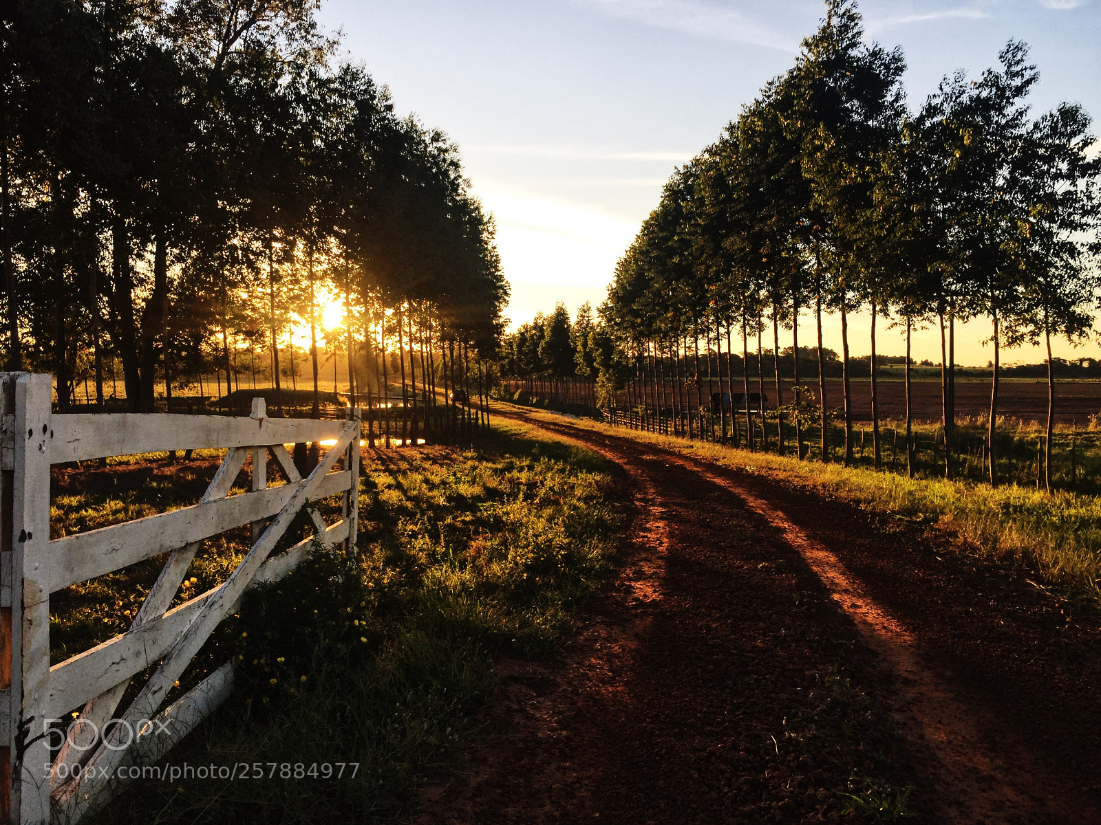Apple iPhone 6 Plus sample photo. Ranch life photography