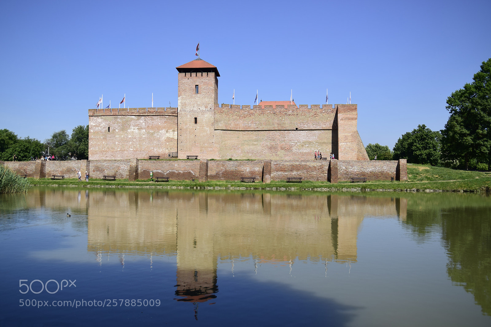 Nikon D3300 sample photo. Castle gyula photography