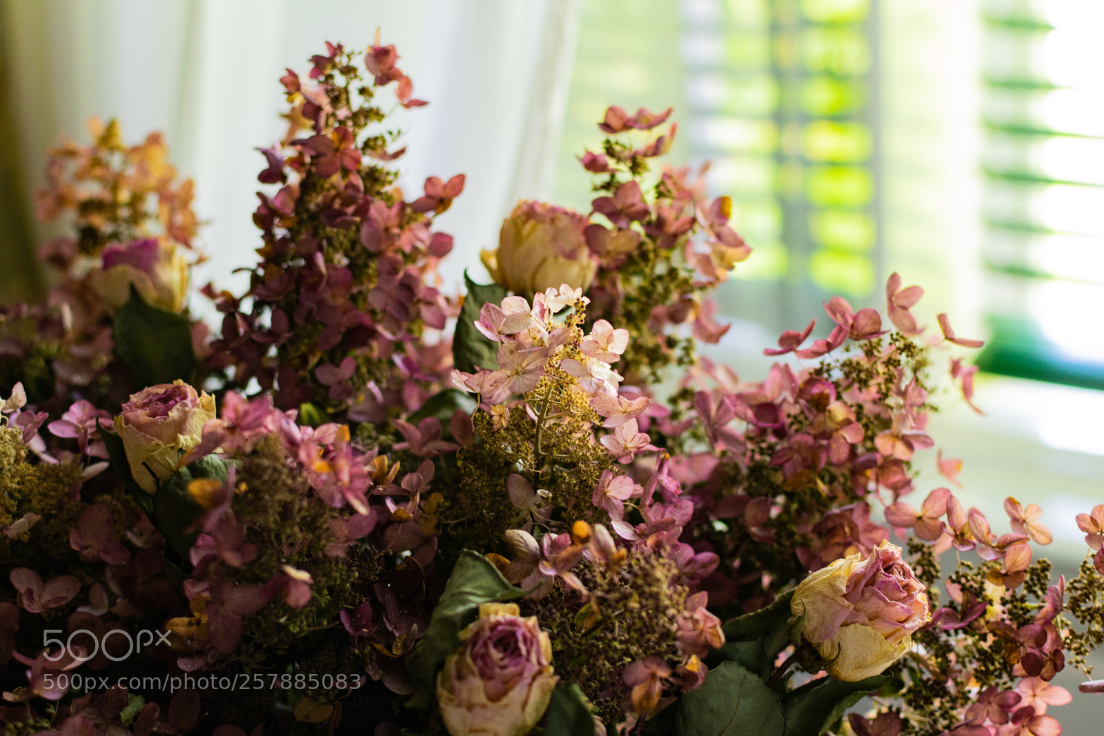 Nikon D5300 sample photo. Fleur photography