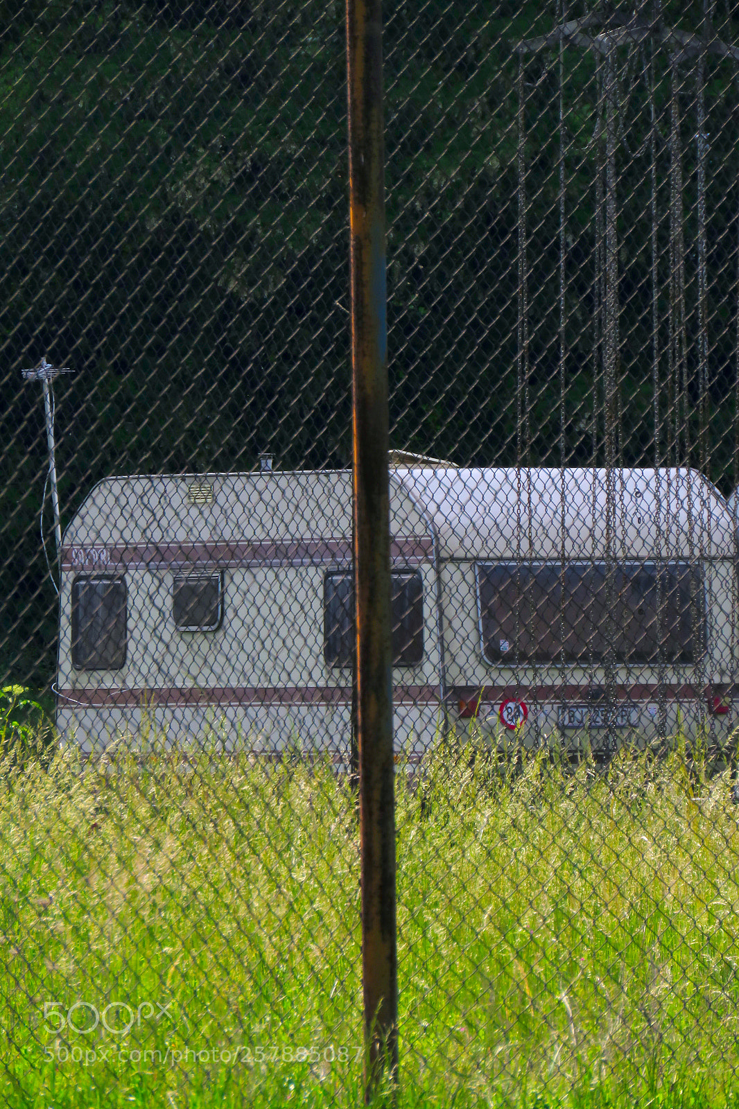 Canon PowerShot SX60 HS sample photo. Life on the grass photography