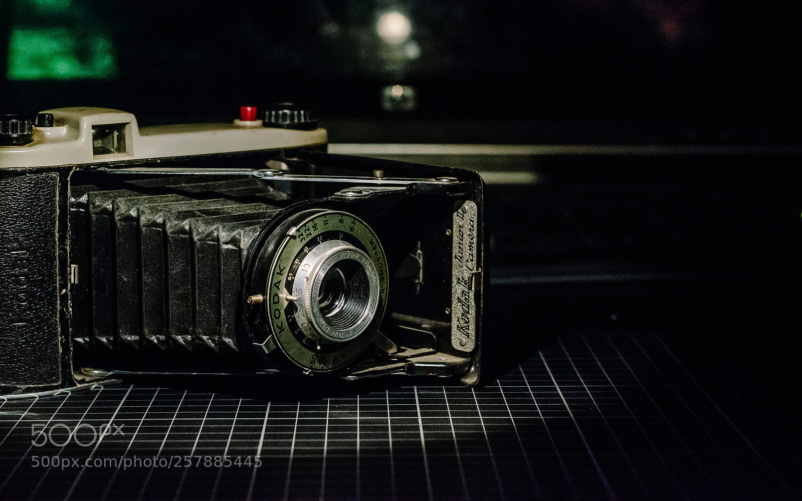 Nikon D7000 sample photo. Camera photography