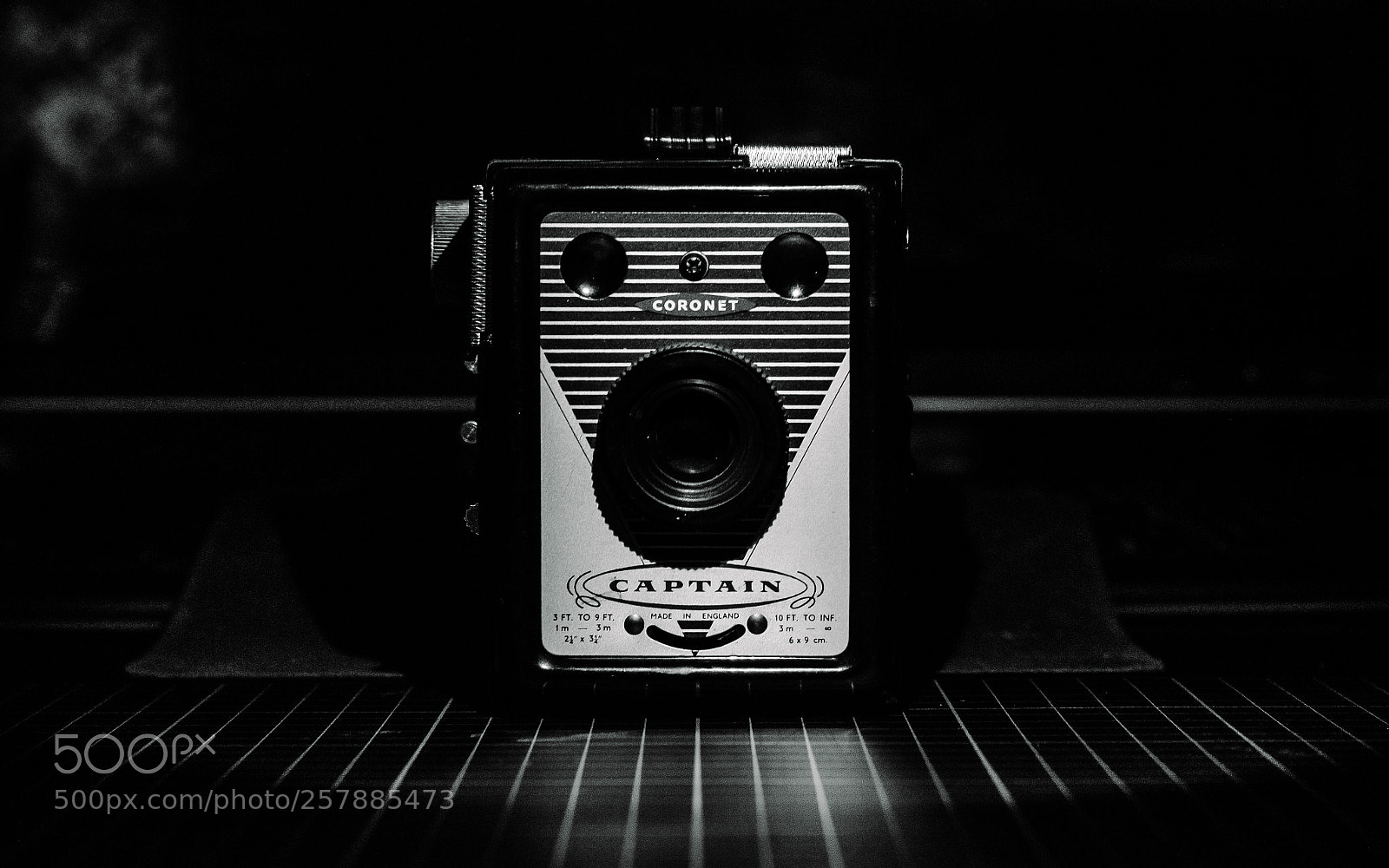 Nikon D7000 sample photo. Camera photography