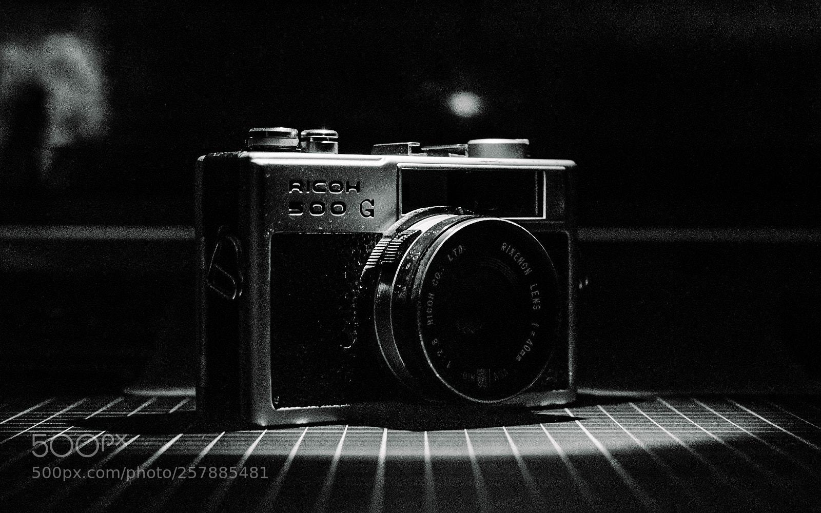 Nikon D7000 sample photo. Camera photography