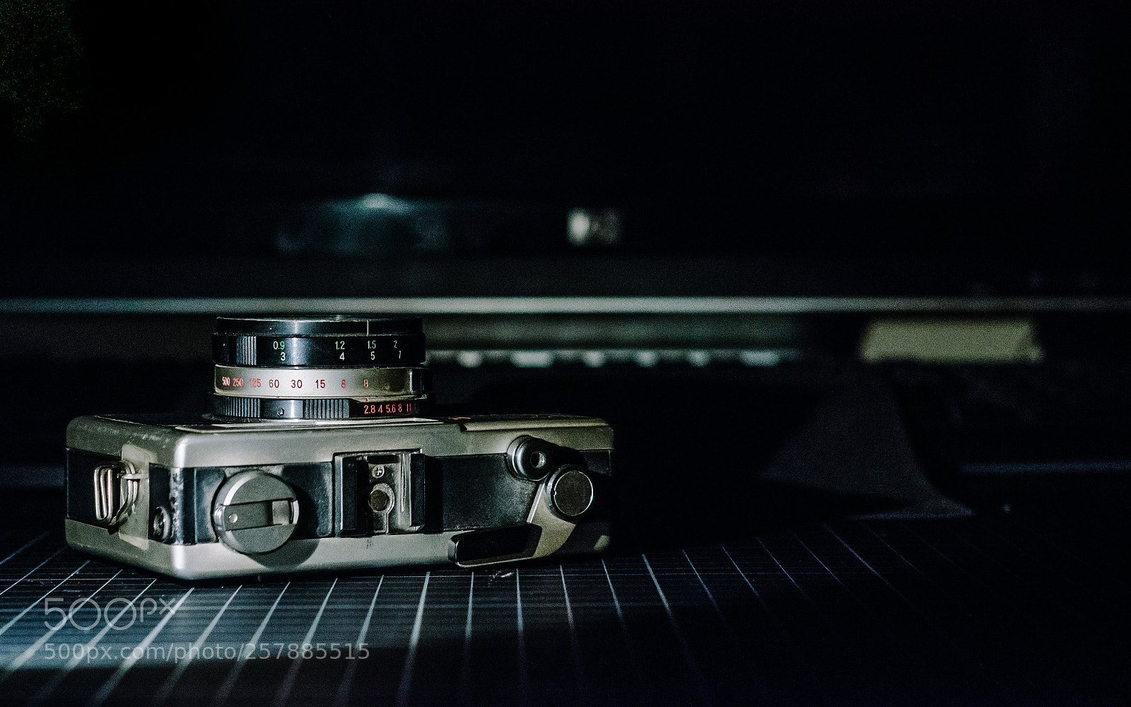 Nikon D7000 sample photo. Camera photography