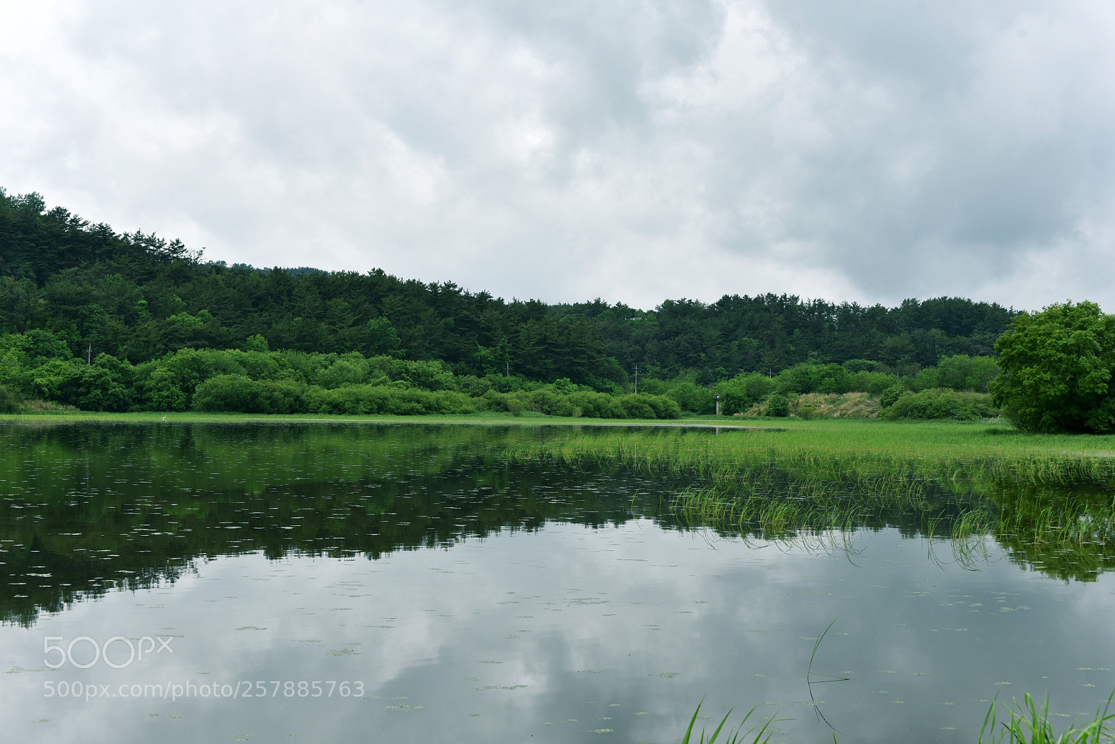 Nikon D750 sample photo. * the sympathy photography