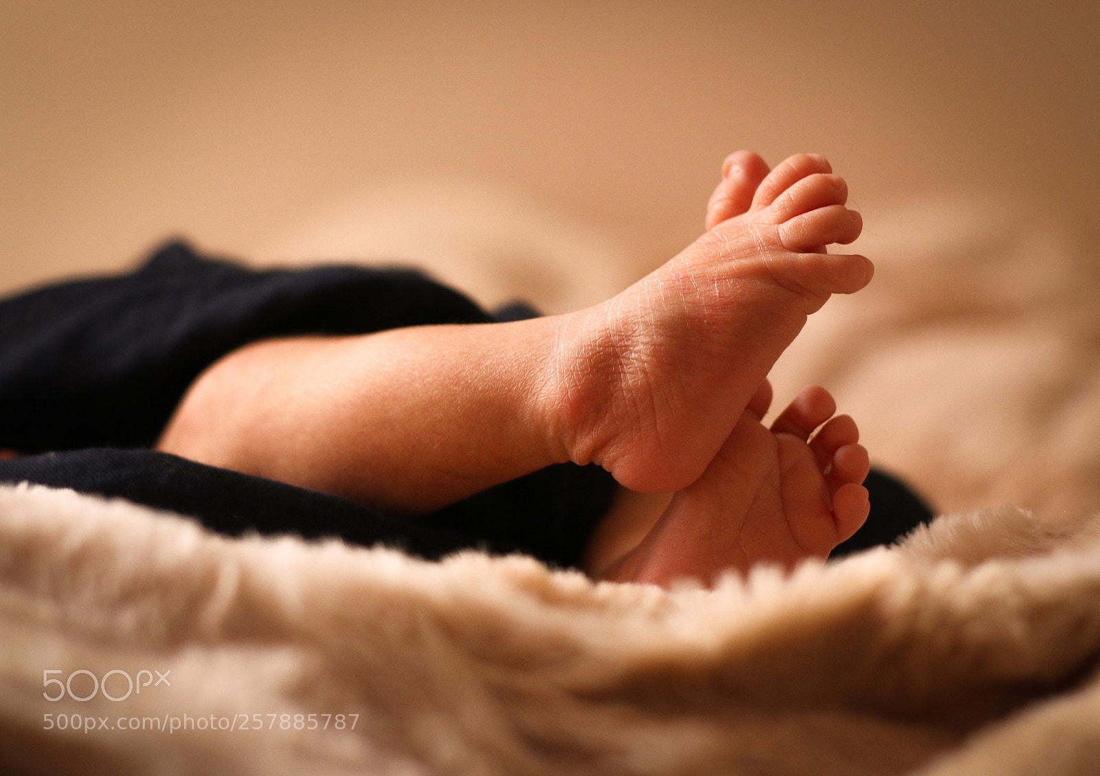 Canon EOS 70D sample photo. New life photography