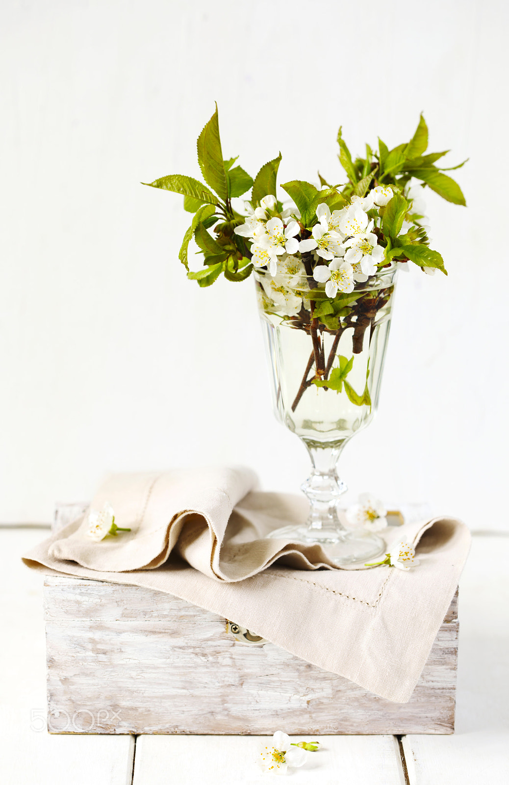 Canon EOS 5D Mark IV sample photo. Pear blossom twigs in photography