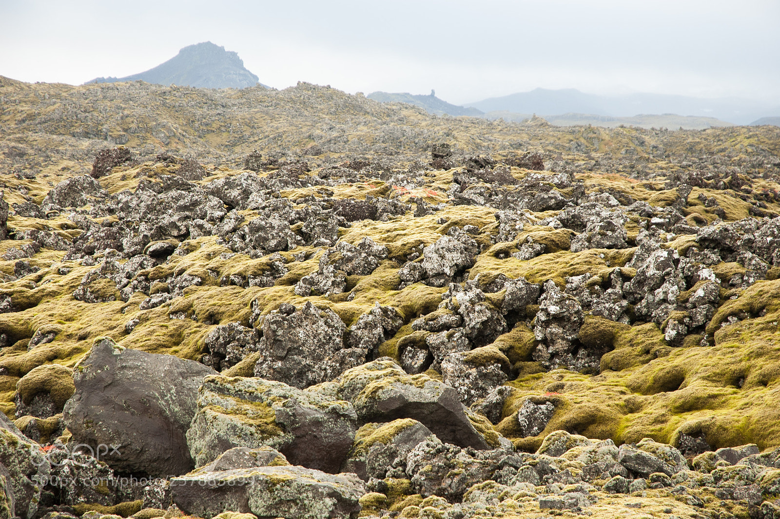 Nikon D70s sample photo. Top of the rocks photography