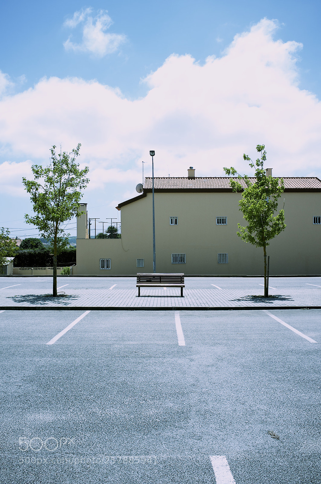 Fujifilm FinePix X100 sample photo. Two trees & a bench photography