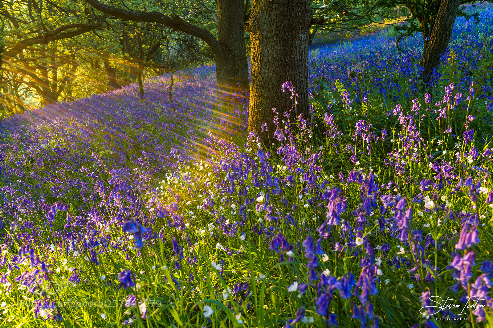 Sony a7R III sample photo. Newton-under-roseberry, england photography