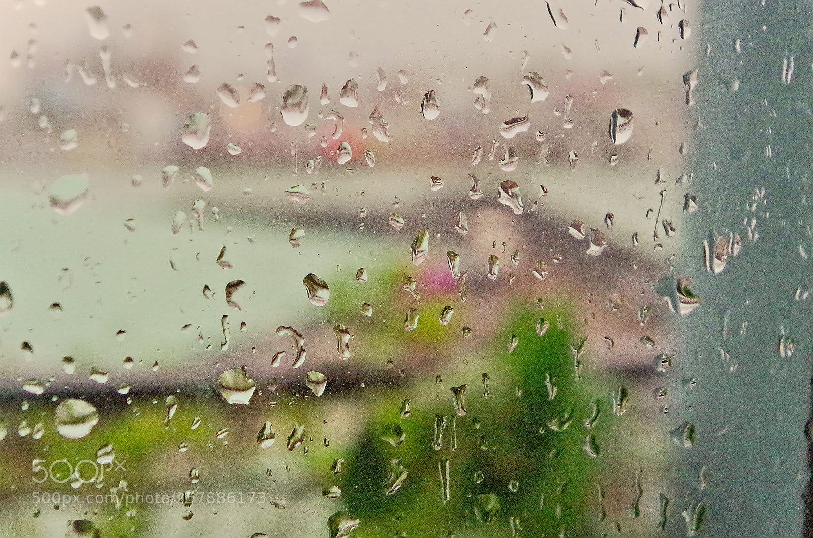 Pentax K-50 sample photo. After the rain photography