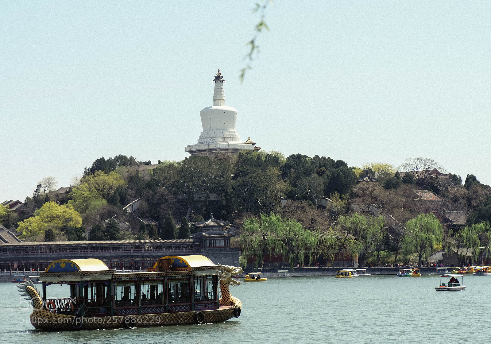 Fujifilm X-T20 sample photo. Dsf photography