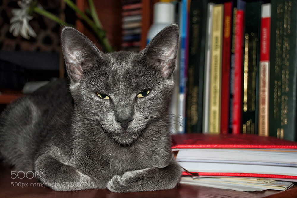 Nikon D80 sample photo. I grace you with photography