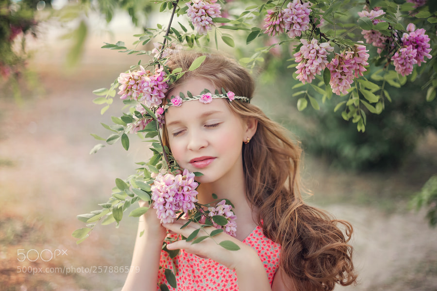 Canon EOS 6D sample photo. Untitled photography