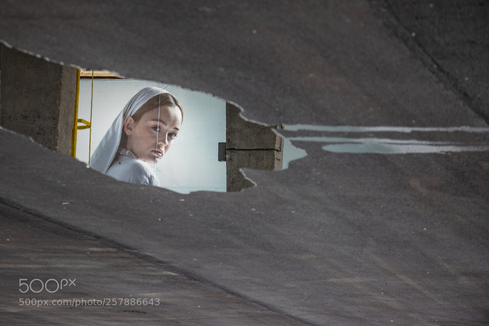 Canon EOS 760D (EOS Rebel T6s / EOS 8000D) sample photo. Beauty in the puddle photography