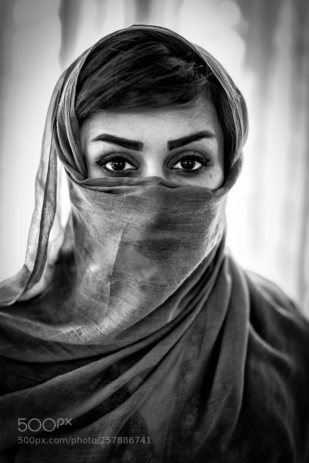 Nikon D750 sample photo. Untitled photography