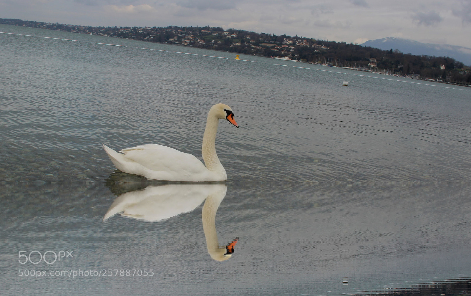 Canon EOS 600D (Rebel EOS T3i / EOS Kiss X5) sample photo. No lago, photography