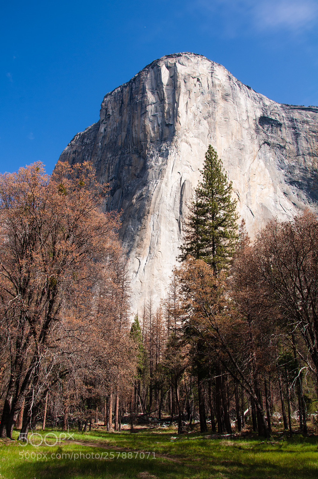 Nikon D90 sample photo. El capitan photography