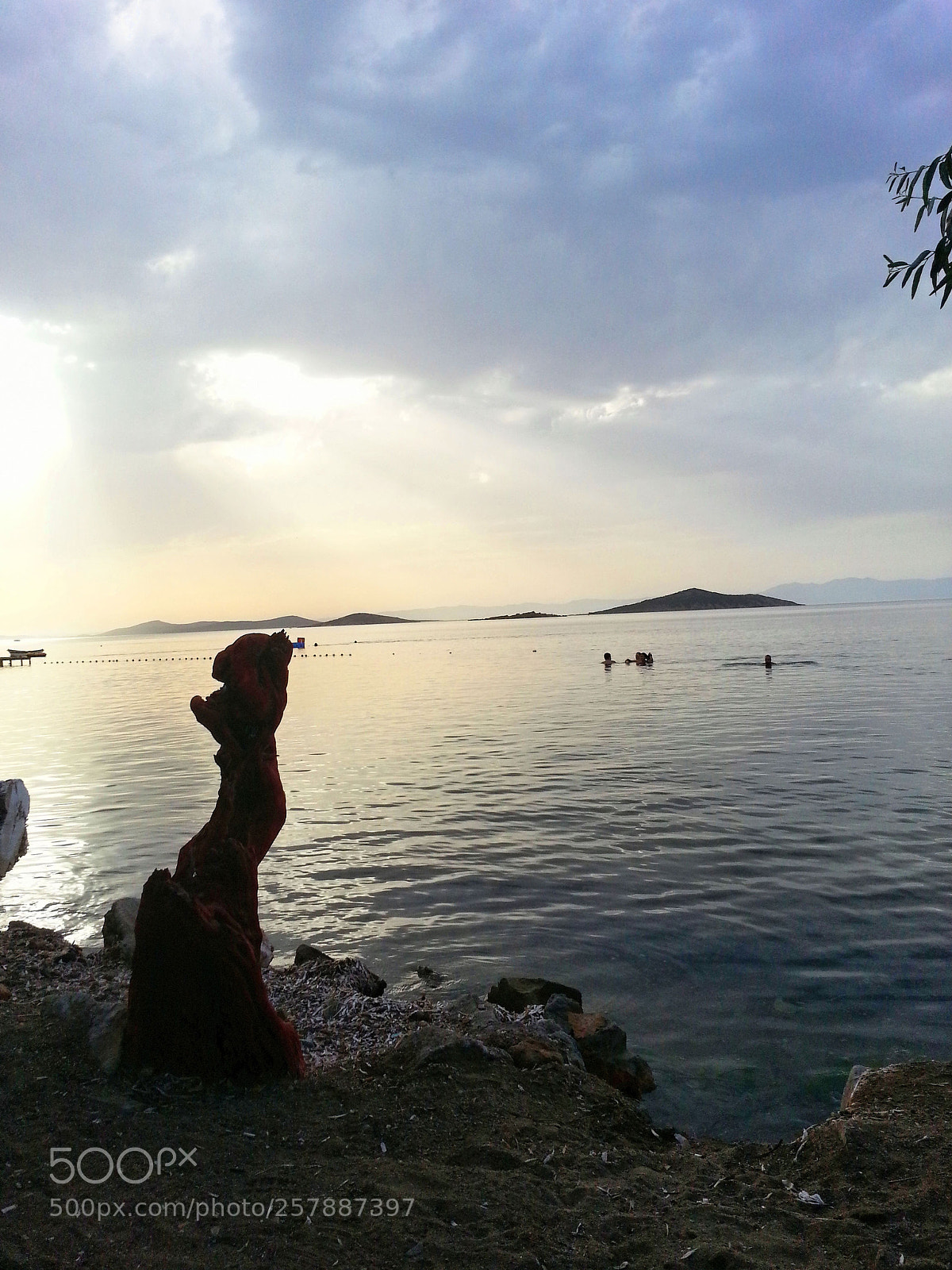 Samsung Galaxy S3 sample photo. Untitled photography