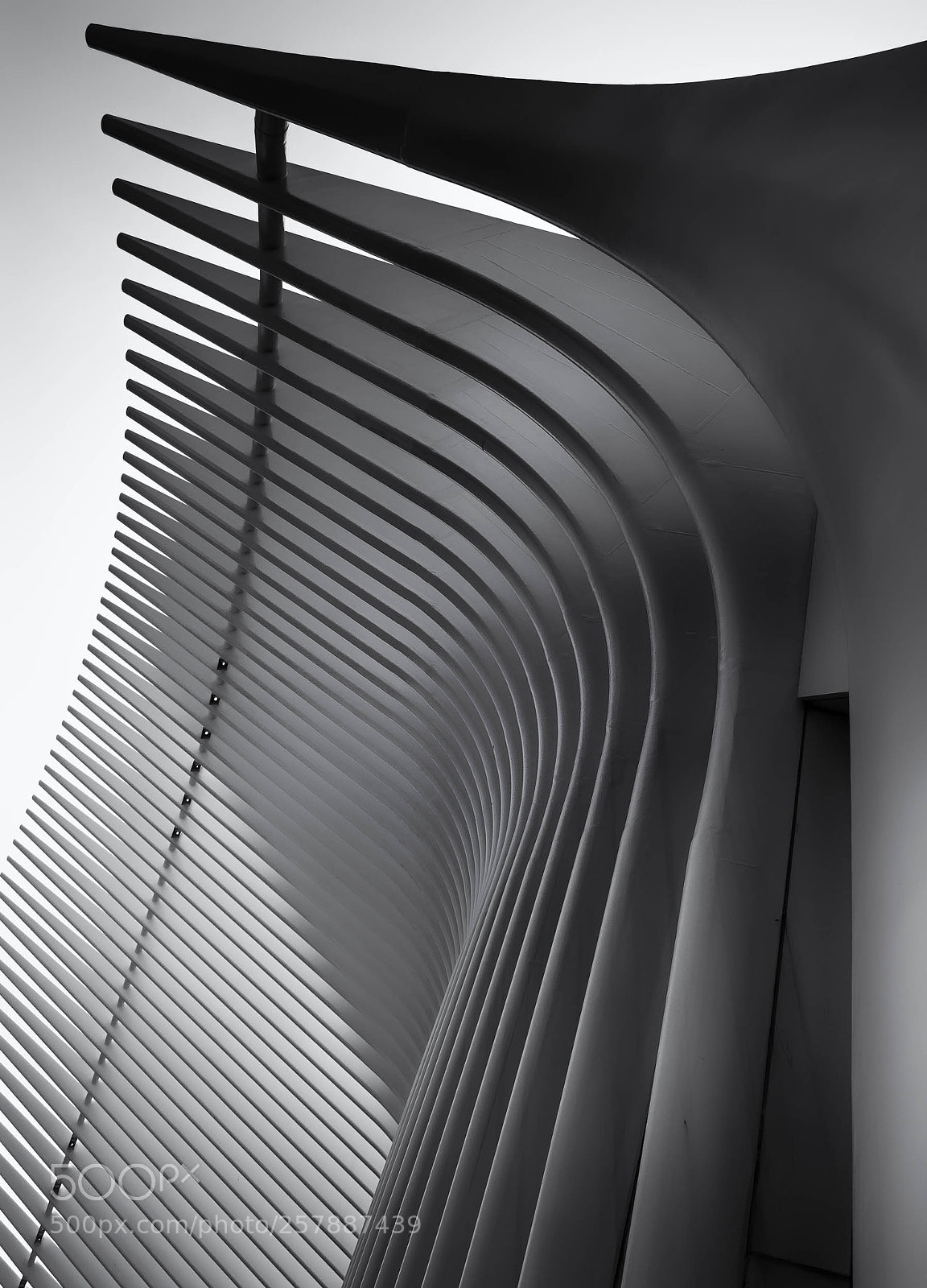 Olympus OM-D E-M5 II sample photo. Pointing curves photography