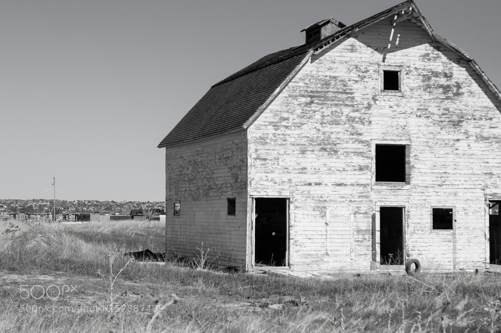 Canon EOS 70D sample photo. Bw photography