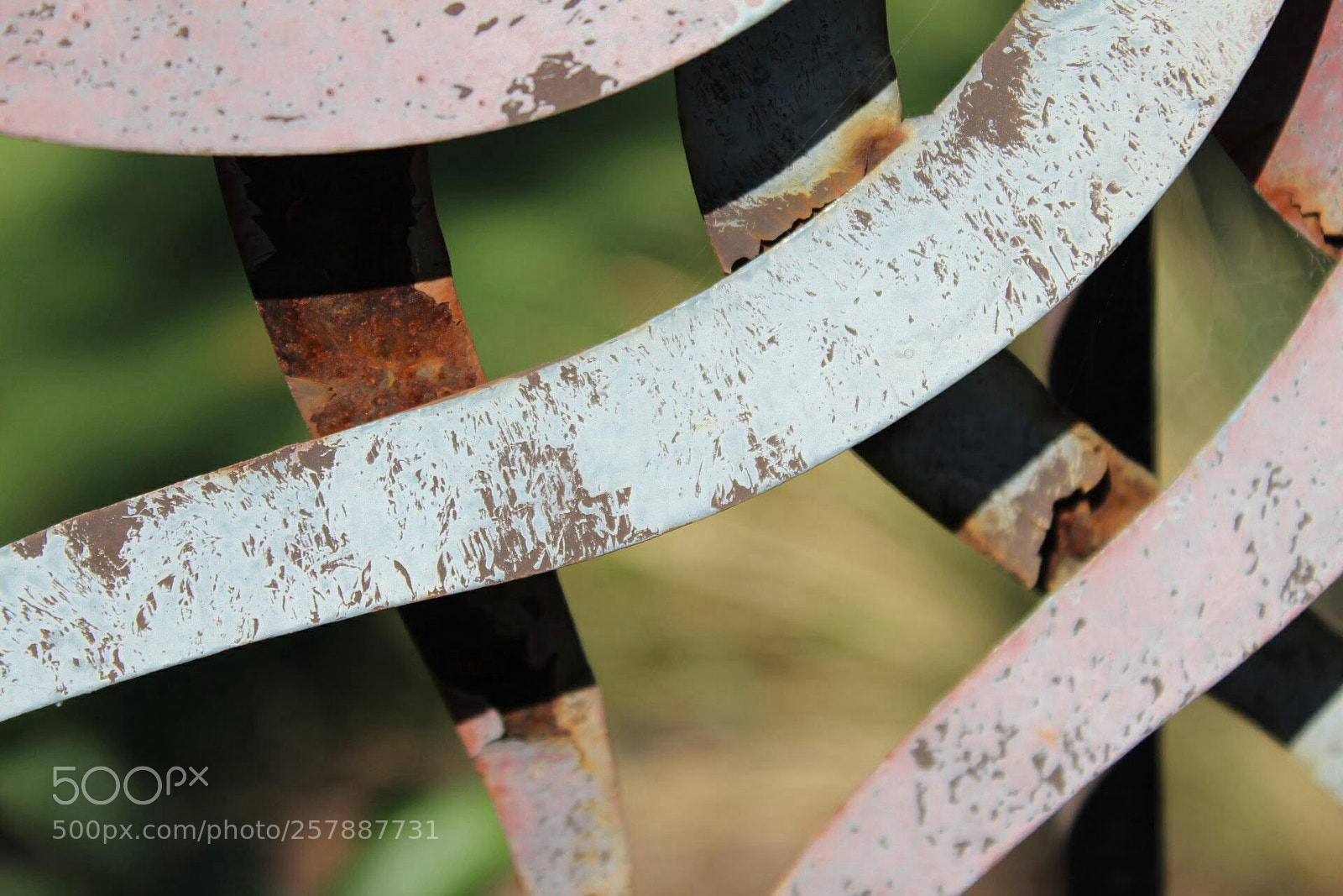 Canon EOS 1300D (EOS Rebel T6 / EOS Kiss X80) sample photo. Rusts and pales photography