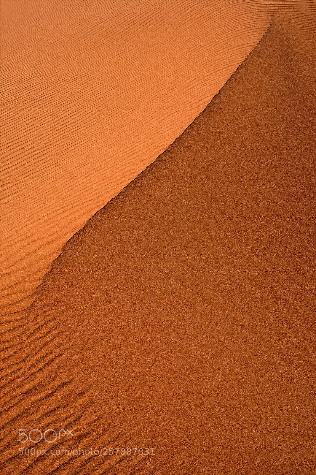 Nikon D750 sample photo. Sand photography