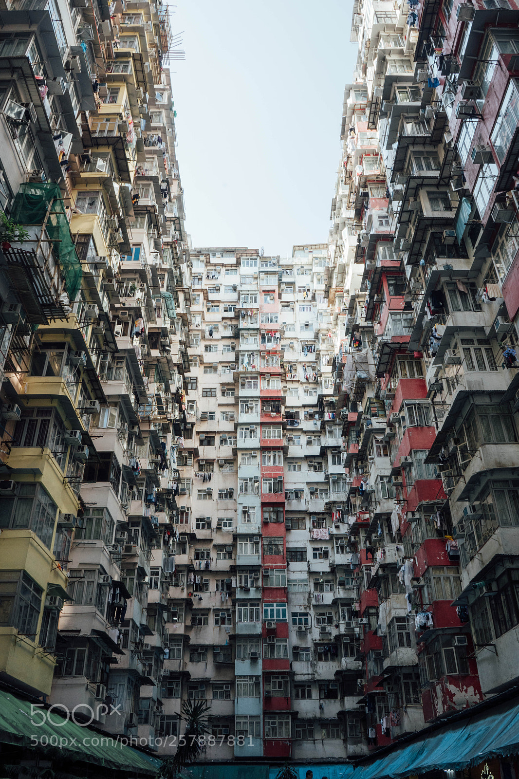 Sony a7 III sample photo. Almost symmetrical photography