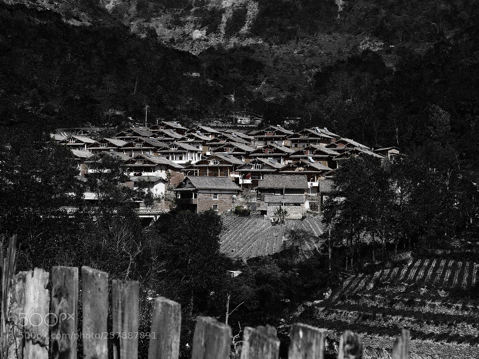 Canon EOS 7D Mark II sample photo. Village in woods photography