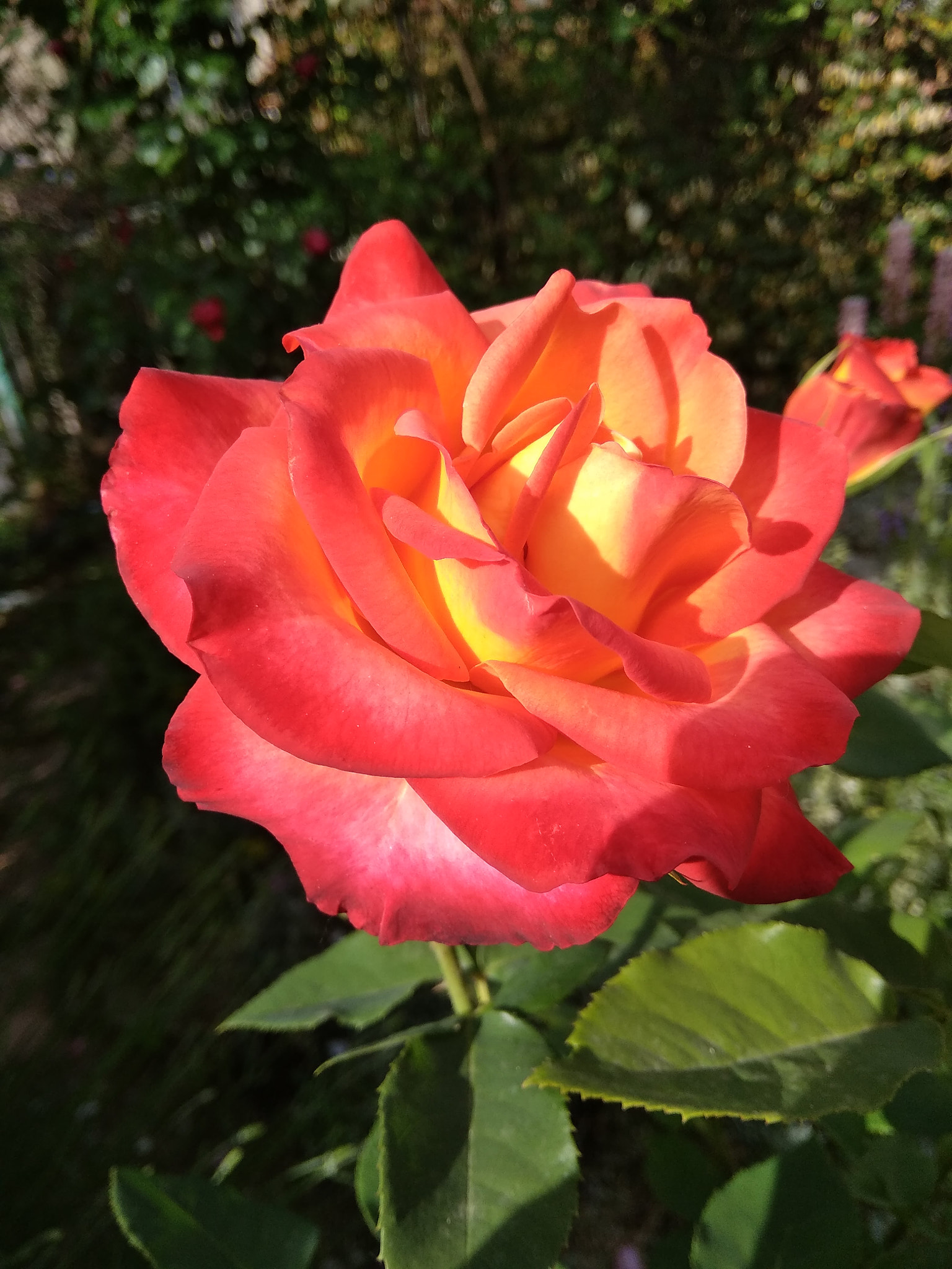 Xiaomi Redmi 5A sample photo. Flames photography