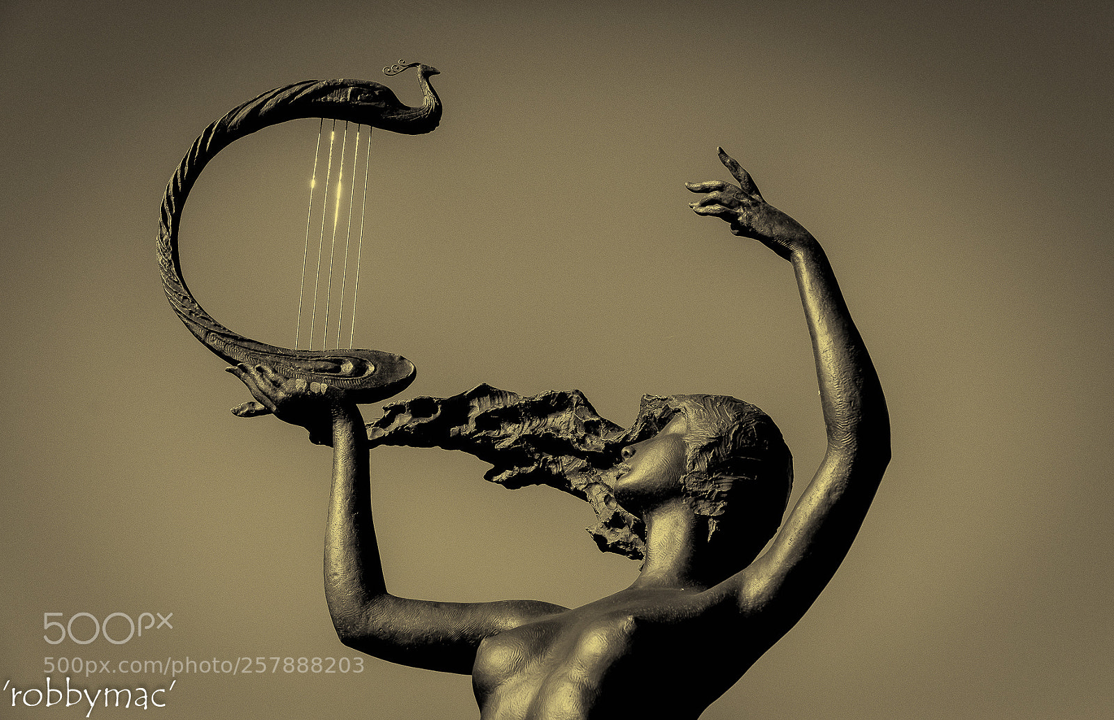 Nikon D610 sample photo. 'song of the wind' photography