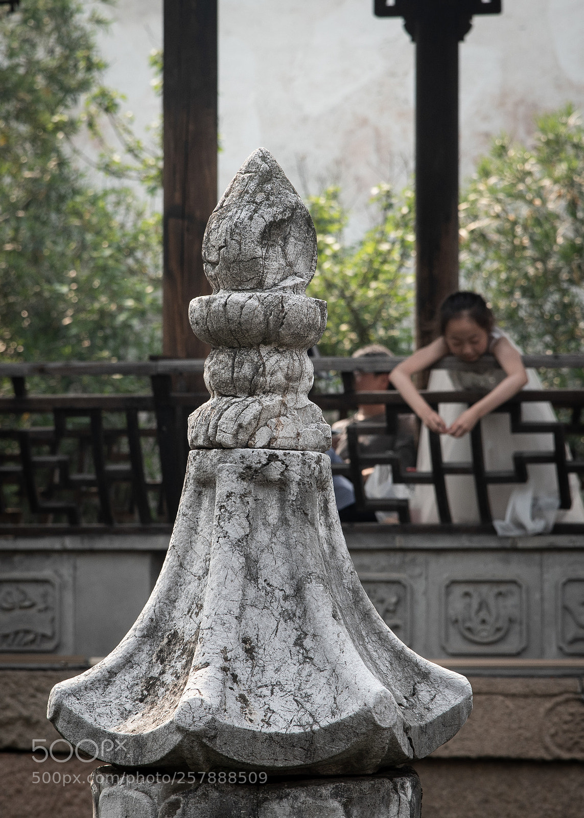 Nikon D750 sample photo. Untitled photography