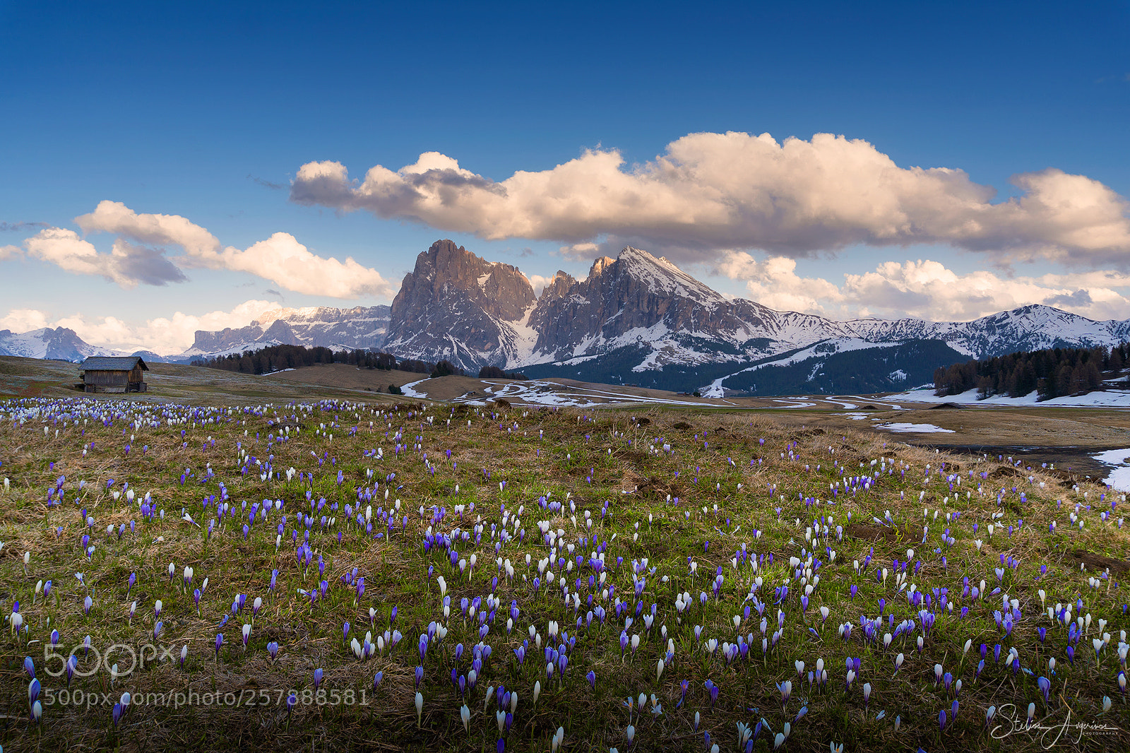 Sony a6300 sample photo. Alpine meadow photography