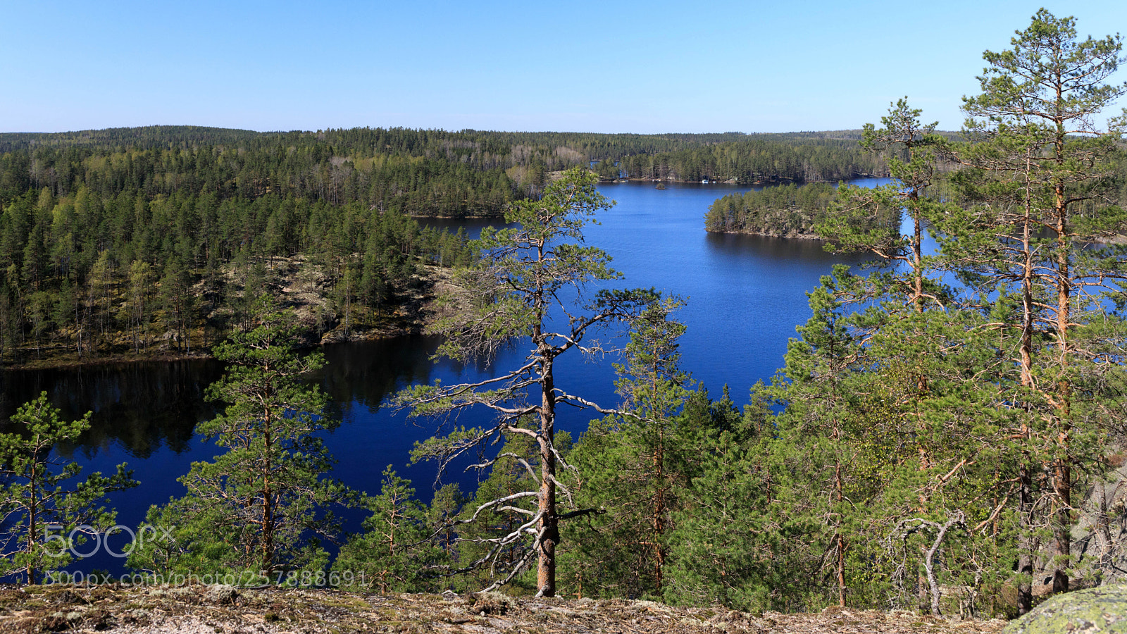 Canon EOS 5D Mark IV sample photo. Repovesi national park in photography