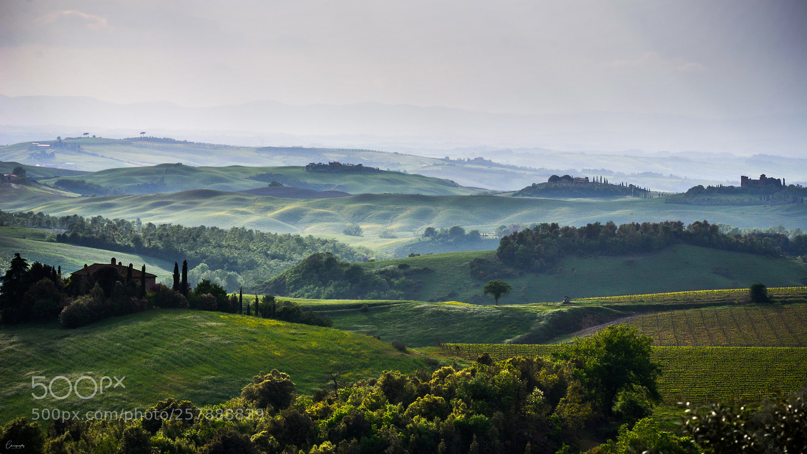 Nikon D7100 sample photo. Misty landscape photography