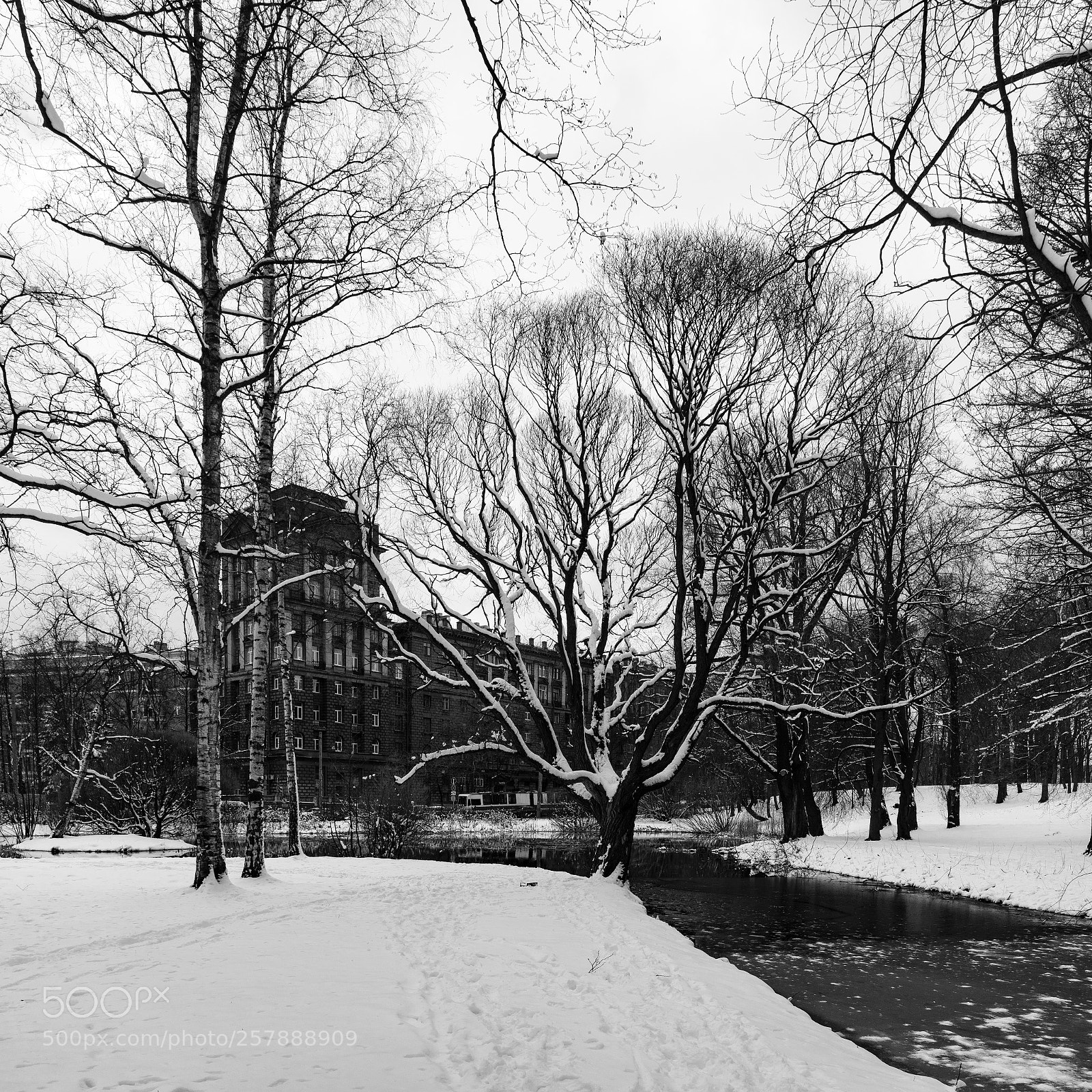 Sony a7R II sample photo. Winter. photography