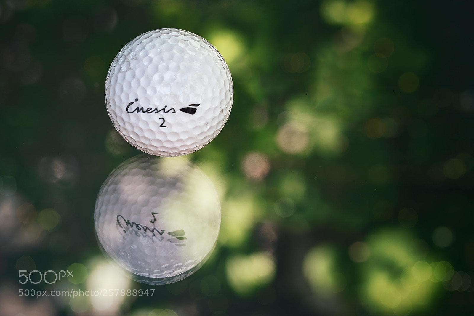 Canon EOS 70D sample photo. Golf 2 photography
