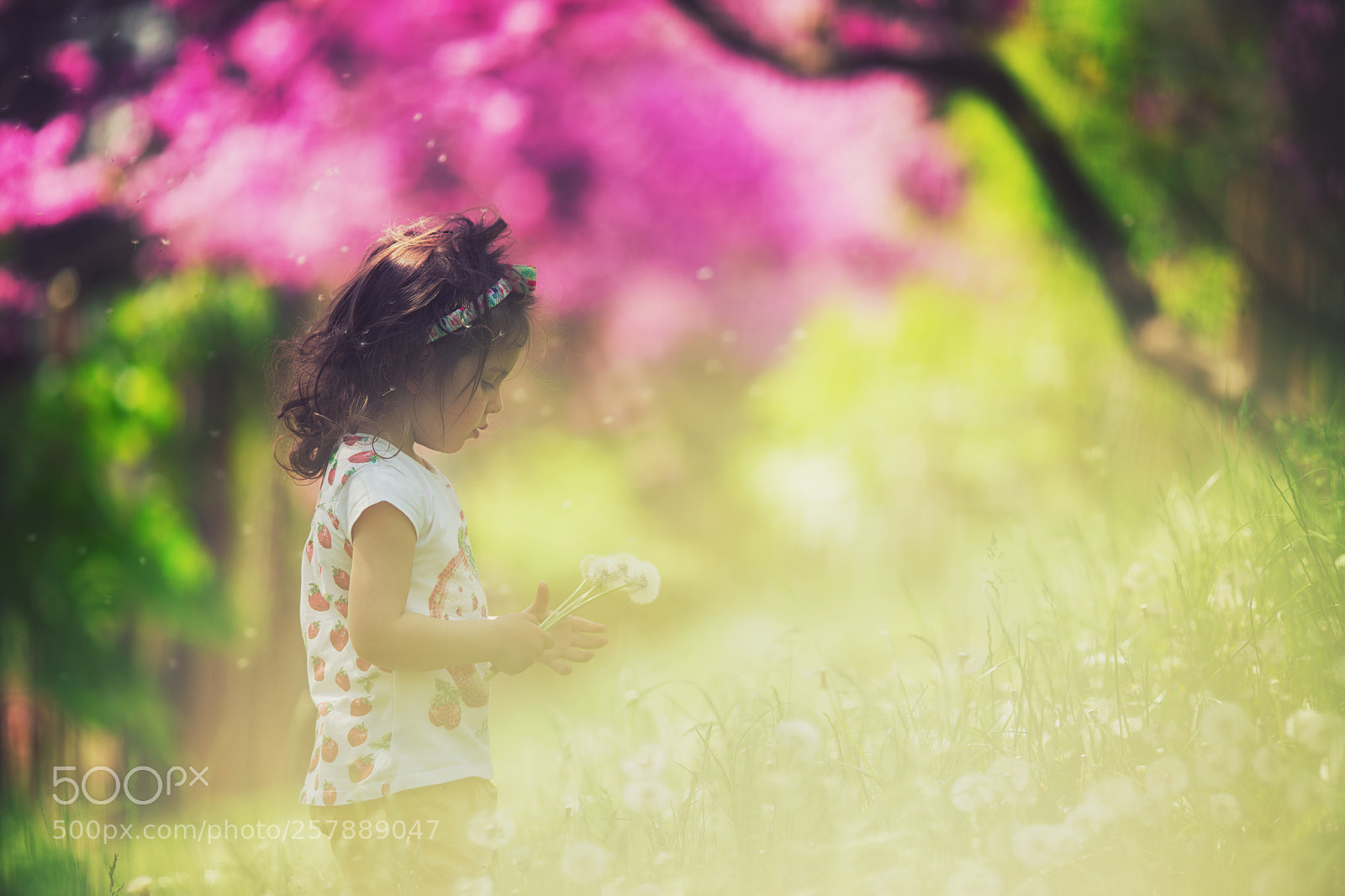 Canon EOS 5D Mark IV sample photo. Beautiful child with dandelion photography